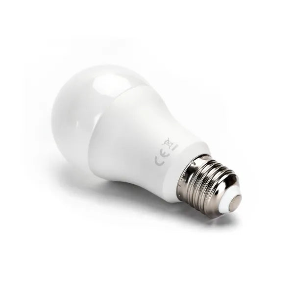 Lampadina LED E27 17W 6500k