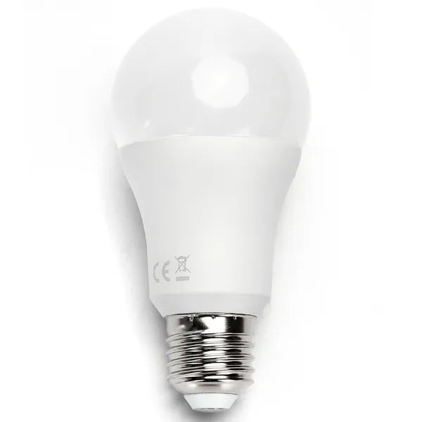 Lampadina LED E27 17W 6500k