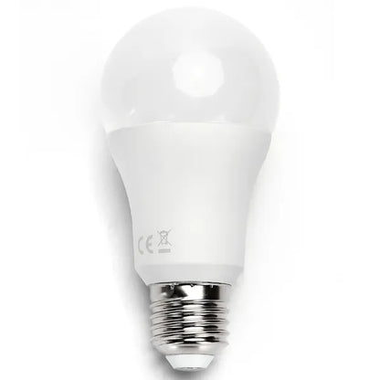 Lampadina LED E27 17W 6500k