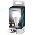 Lampadina LED A60 E27 17W 6500k luce fredda